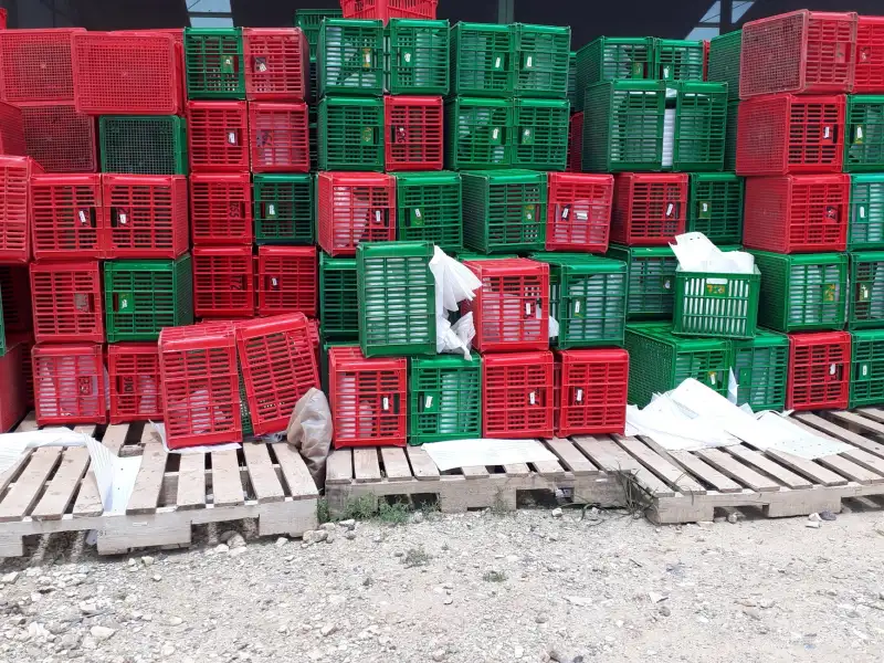 通信工程光纤布线常见质量管控要点与施工规范解析