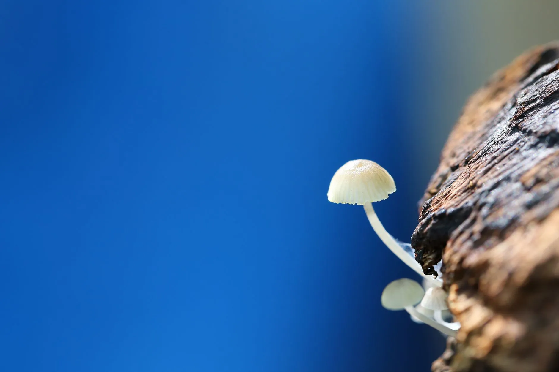 光纤布线施工中质量管理的关键控制点与验收标准