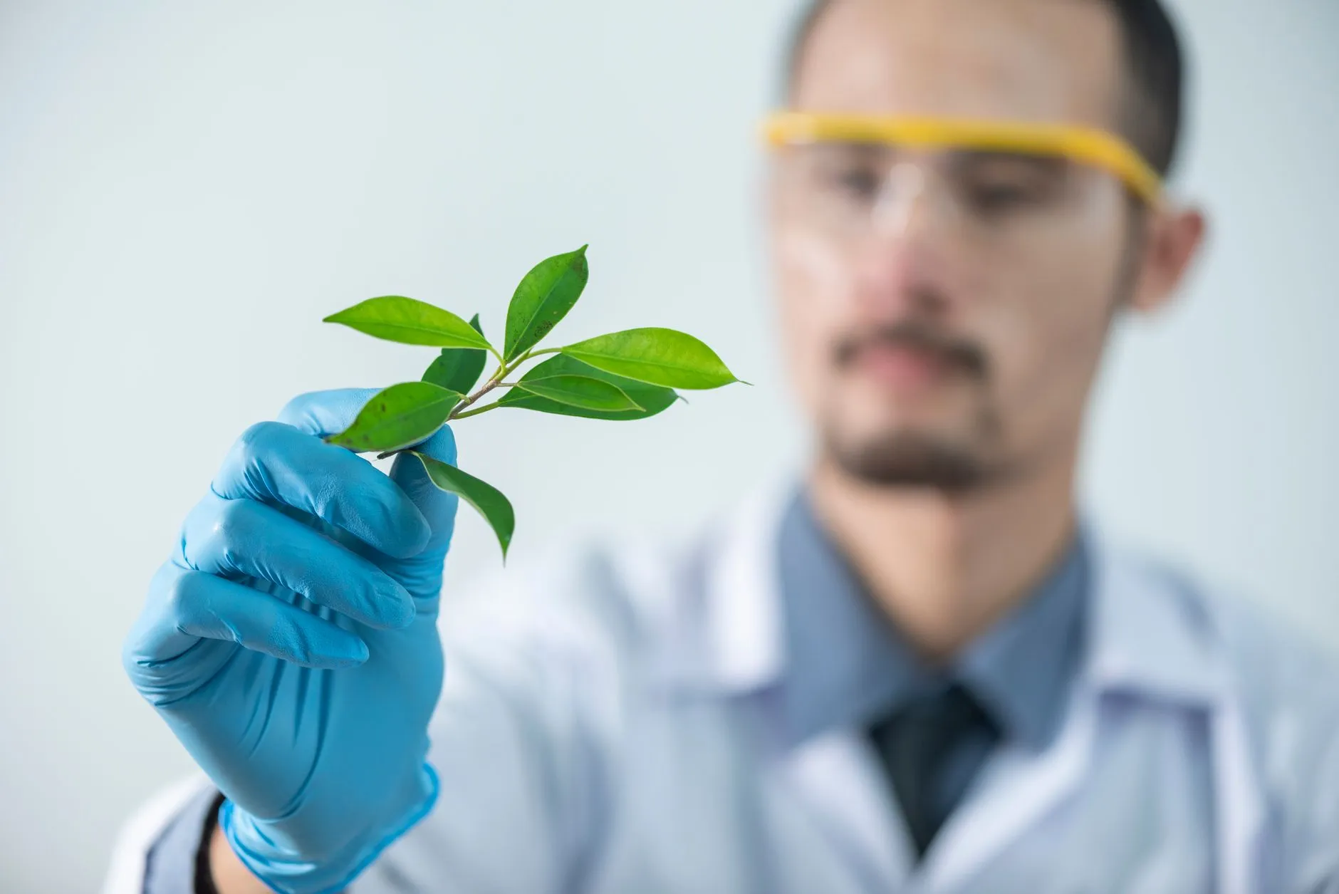 通信工程中光纤布线质量管控的关键要点与常见问题解析