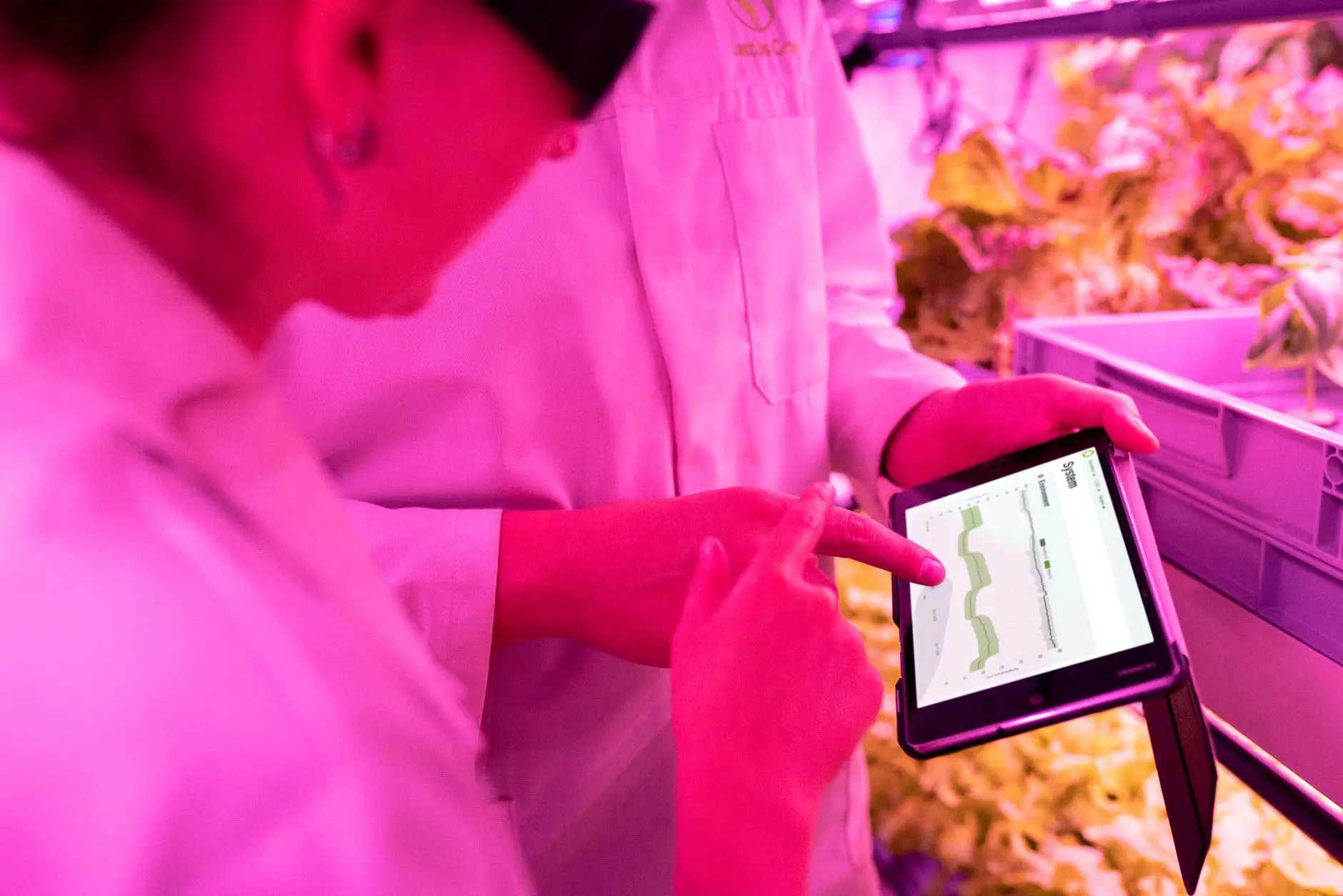 上海京时佳网络科技通信工程光纤布线施工方案与质量管控要点